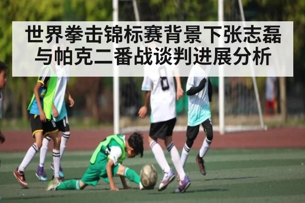 世界拳击锦标赛背景下张志磊与帕克二番战谈判进展分析